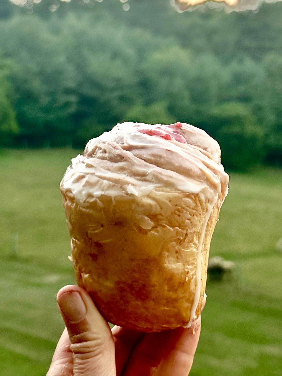 Strawberry Jelly Donut