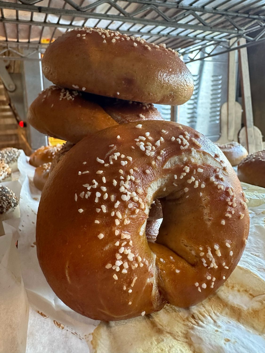 Pretzel Bagel 3-pack