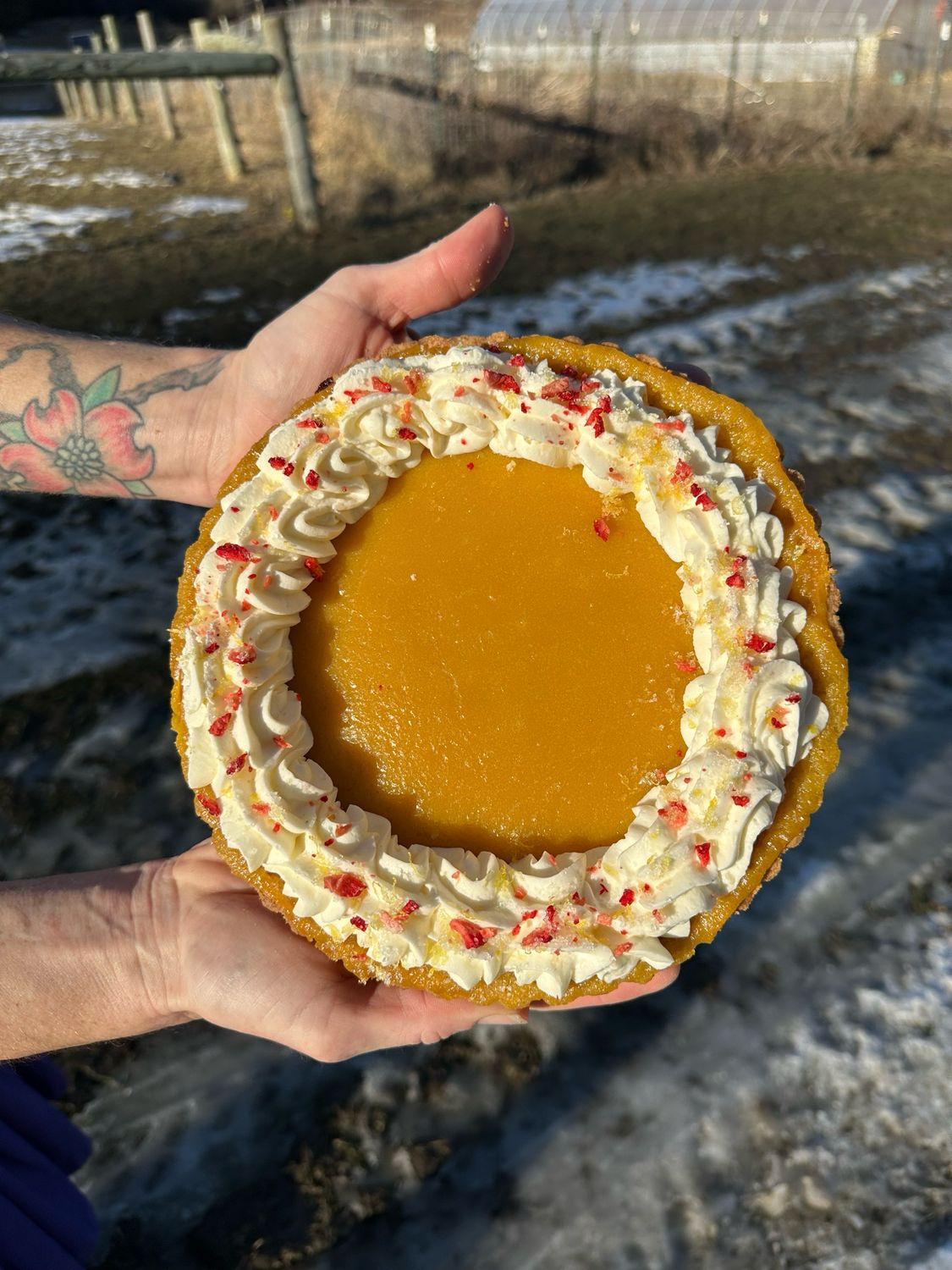 Passion Fruit Tart