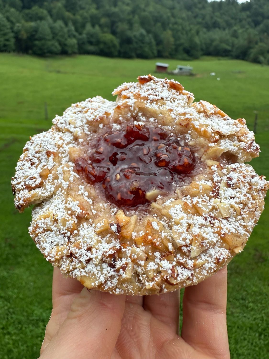 Almond Raspberry Scone (vegan!)