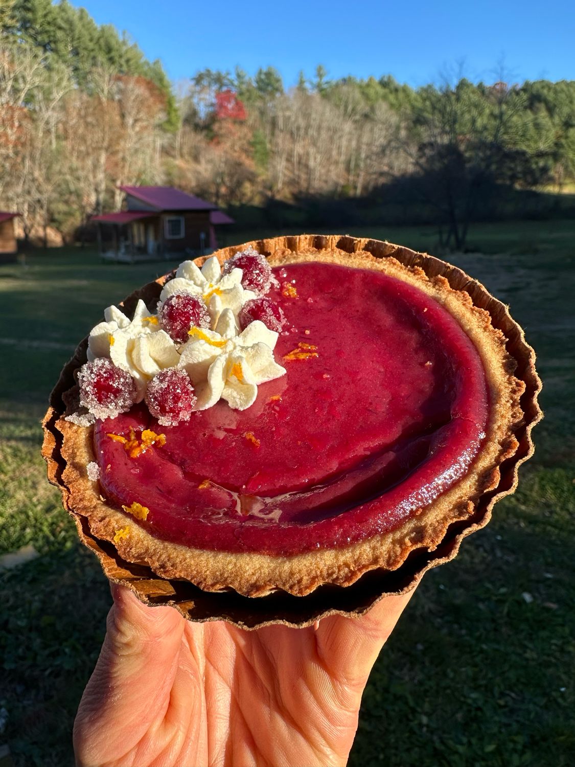 Cranberry Curd Tart (gluten sensitivity) Cranberry Curd Tart (gluten sensitivity)