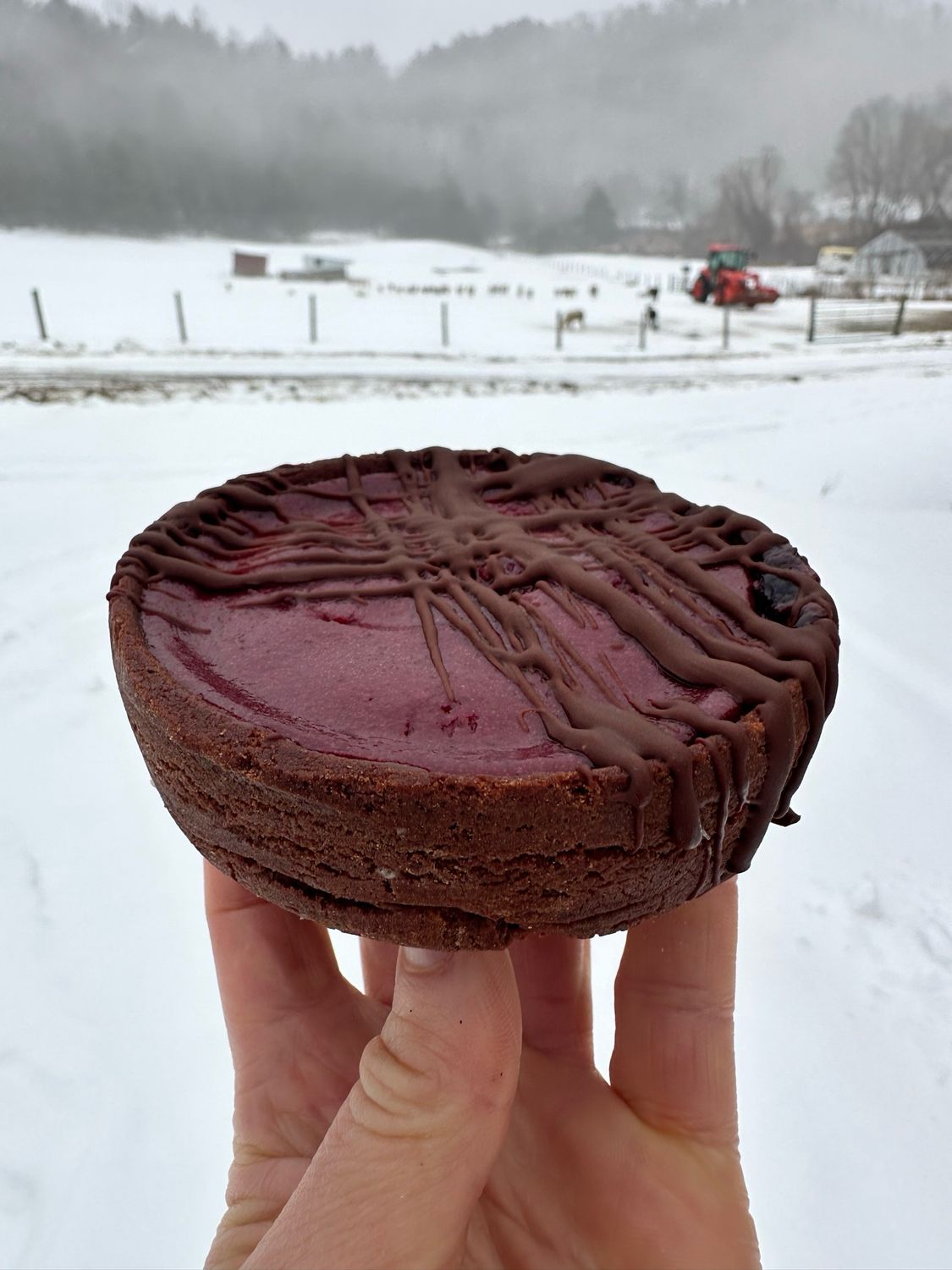 Chocolate Cherry Tart