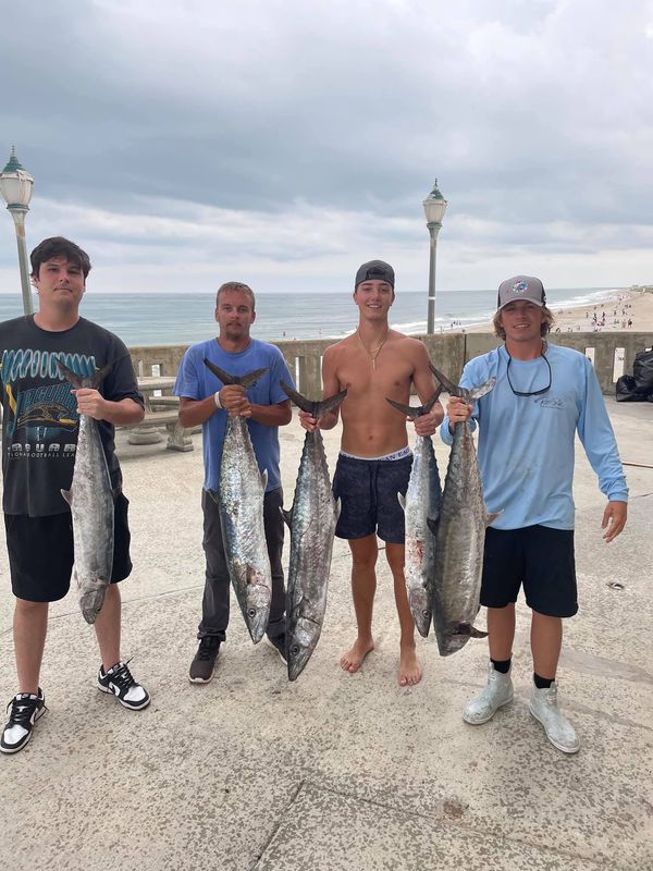 Big Game Fishing Pass - Renewals Only