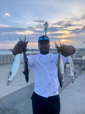 Two Rod Fishing Pass 2027