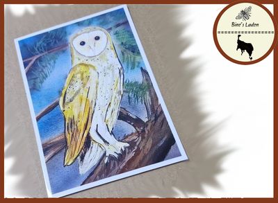 Postkarte mit Künstlerfoto &quot;Die Schleiereule&quot;
