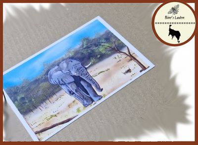 Postkarte mit Künstlerfoto &quot;Der Elefant&quot;
