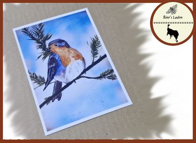 Postkarte mit Künstlerfoto &quot;Das Rotkehlchen&quot;