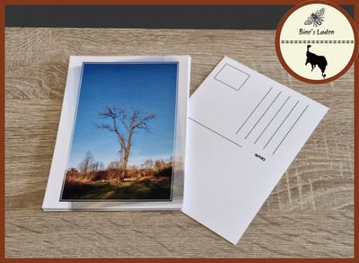 Postkarte mit Regionsfoto &quot;Baum in Dambeck&quot; Mecklenburg