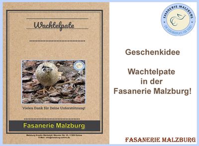 ~FM~ Wachtelpatenschaft
