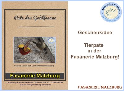 ~FM~ Patenschaft für unsere Goldfasane