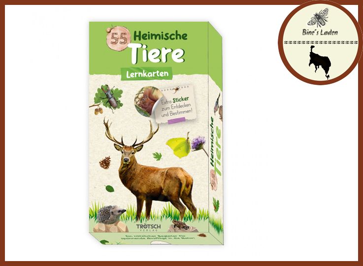 55 Lernkarten &quot;Heimische Insekten&quot;