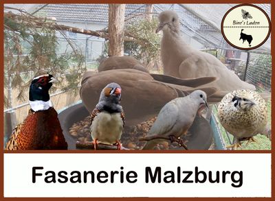 Fasanerie Malzburg