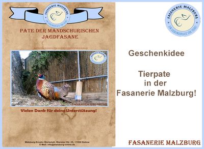 ~FM~ Patenschaft für unsere mandschurischen Jagdfasane