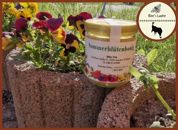 Honig aus  MV - Sommerblütenhonig - 500g