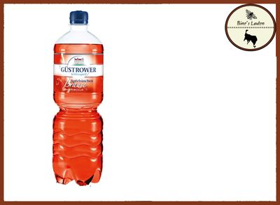 Güstrower Schlossquell Apfelsinchenbrause 1l PET