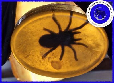 Malzburger Seife &quot;Küstenfund Spinne&quot; ca. 80g