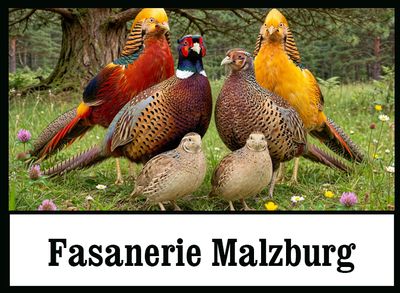 Fasanerie