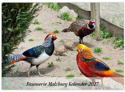Fotokalender der Fasaniere Malzburg 2027