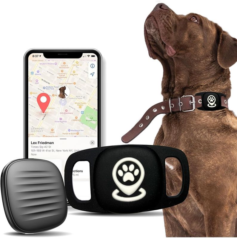 Dog Tracker Smart Pet Location Tracker with Collar Holder
