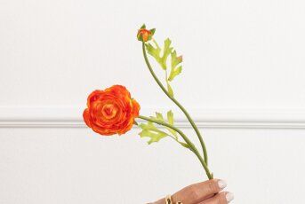 Bloemen en planten