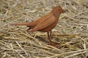 Zingende vogel