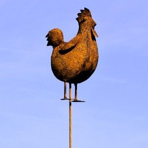 Staande haan