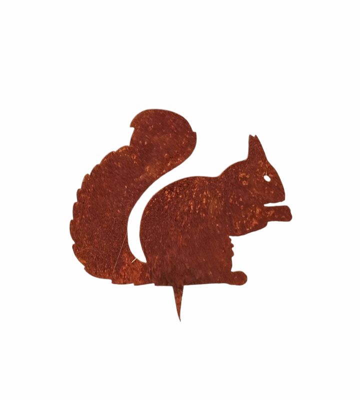 Eekhoorn