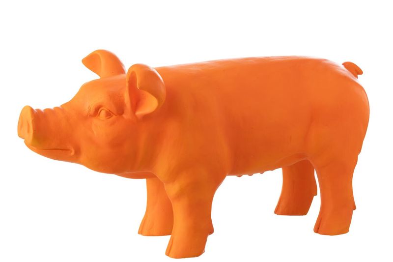 Varken Buiten Oranje
