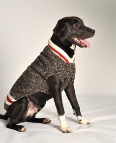 Chilly Dog / Classics Boyfriend Grey