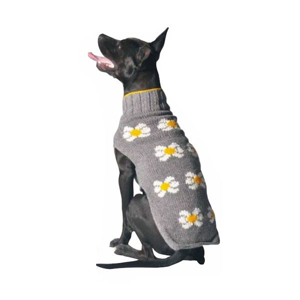 Chilly Dog / Girl Sweater, Grey Daisy 