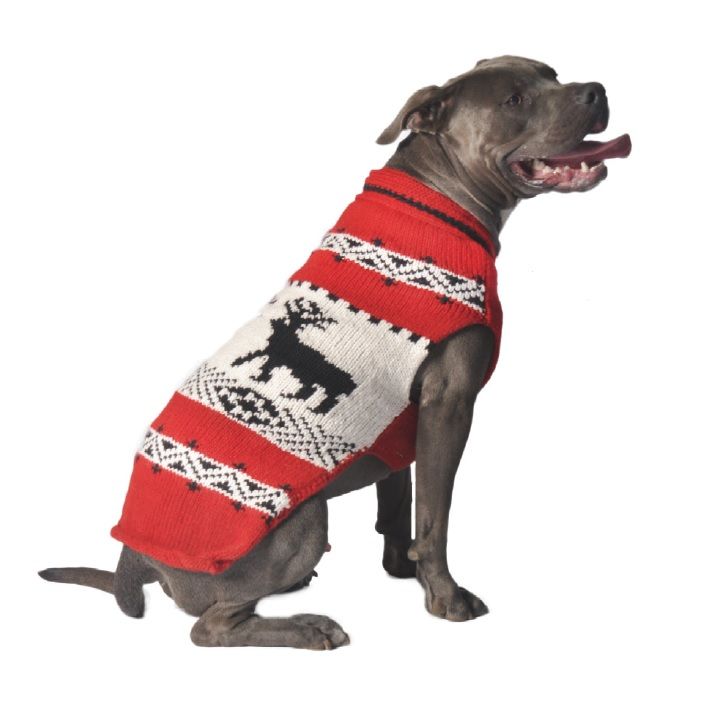 Chilly Dog / Nordic Sweater, Red Reindeer Shawl
