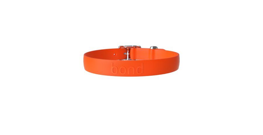 Bond / Collier chien, Tangerine