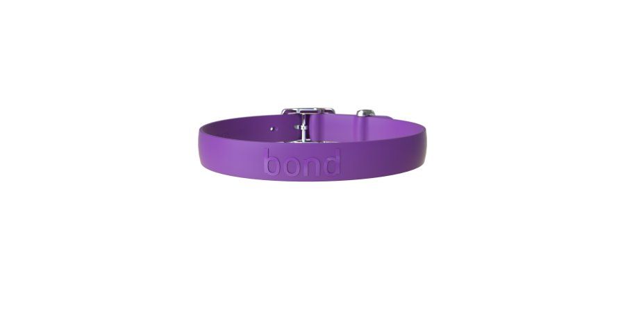 Bond / Collier chien, Mauve