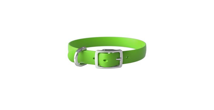 Bond / Collier chien, Lime