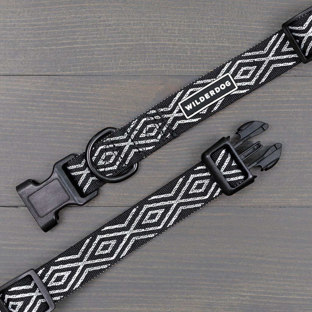 Wilder dog / Collier Denali Ultralight