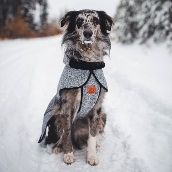 Wilderdog / Fleece Jacket, Gray