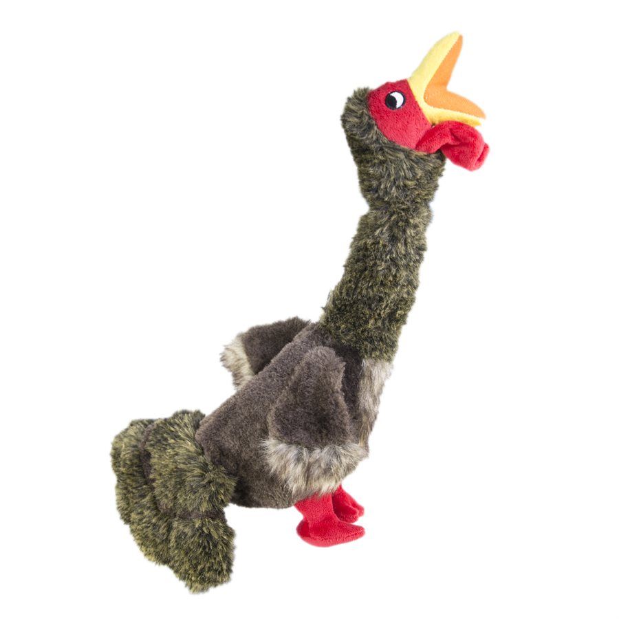Kong / Shakers Luvz Bird, Size: Petit