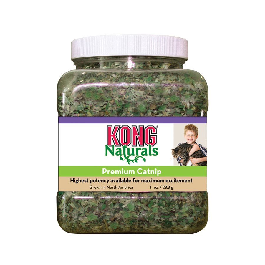 Kong / Herbe à chat Premium, Size: 1oz