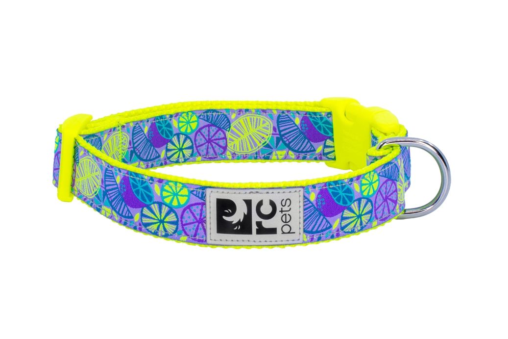 RC Pets / Collier clip, Citrus