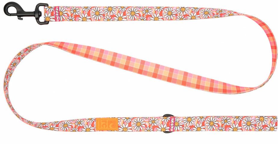 RC Pets / laisse Daisy joy / gleeful