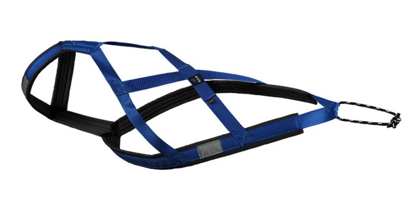 Nahak / Harnais de traction Bleu