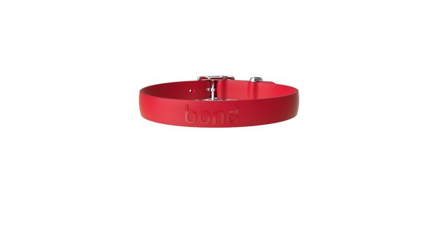Bond / Collier chien, Tomate