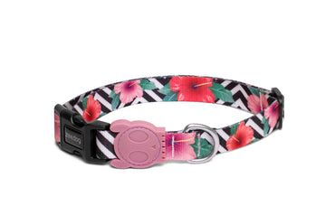 ZeeDog / Collier chien, Mahalo, Size: Large