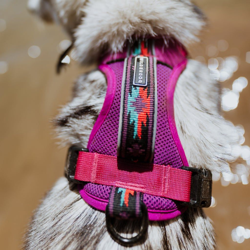 Wilderdog / Harnais, Berry