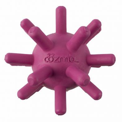 Petprojekt / Cozmo Violet