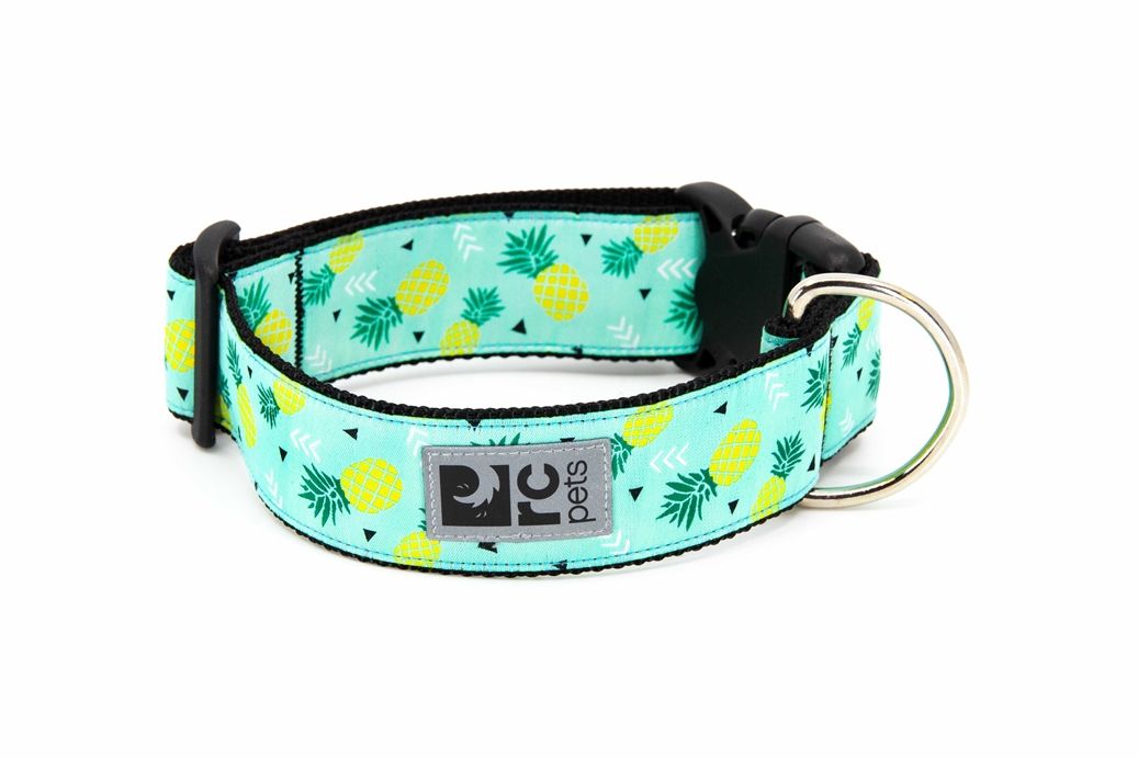 Rc Pets / Wide Clip collar Pineapple Parade