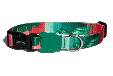 ZeeDog / Collier chien, Bali, Size: Large