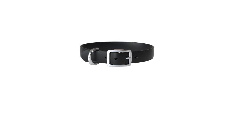 Bond / Collier chien, Poivre