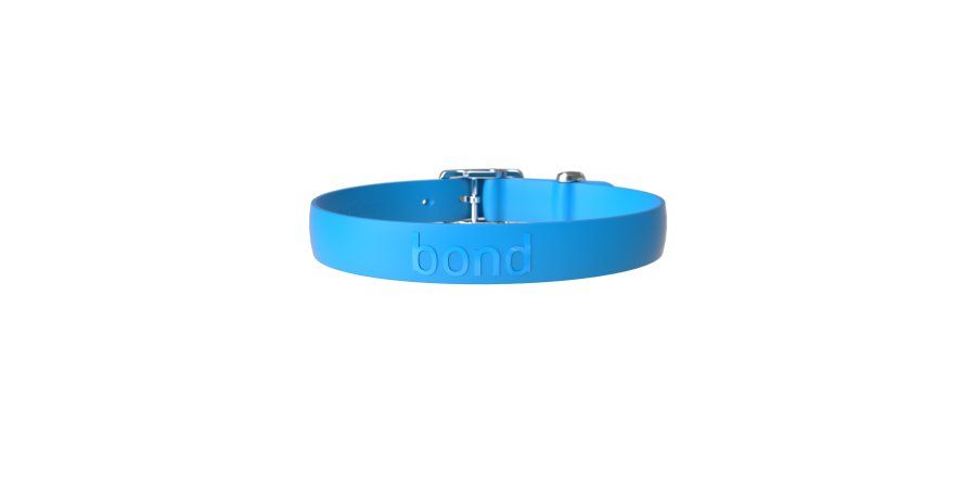 Bond / Collier chien, Bleuet