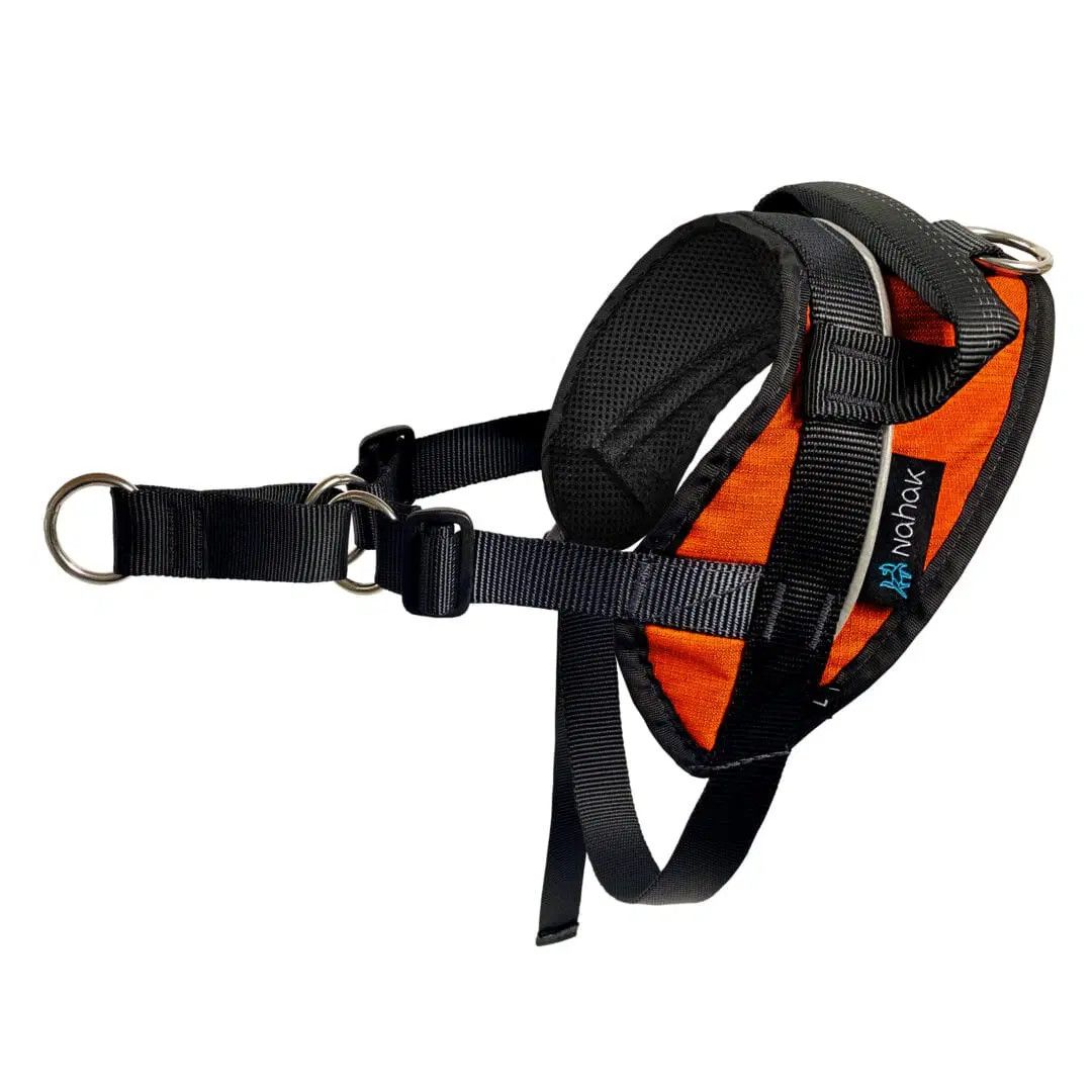 Nahak / Harnais de marche Orange 